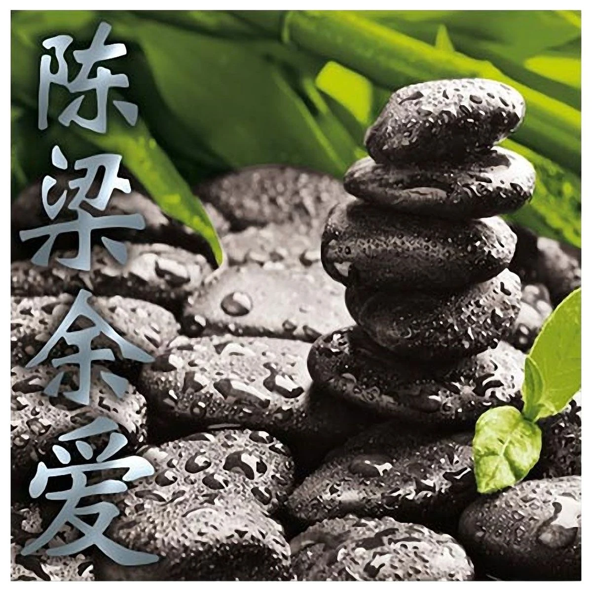 Cadre En Toile Zen Nature 40 X 40 Cm