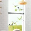 Stickers De Vitres Oiseaux Sur Branches