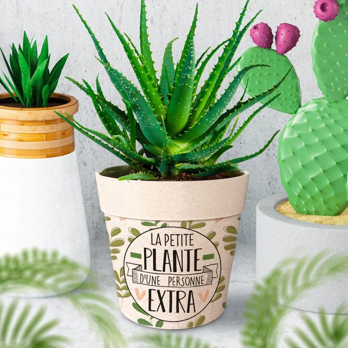 Cache Pot En Fibre De Bambou - La Petite Plante - 13.5 Cm