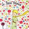 Bouillotte Noyaux De Cerises Le Petit Prince De St Exupéry