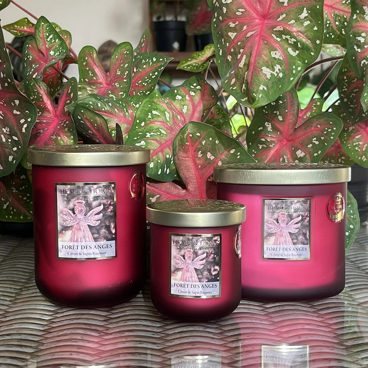 Grande Bougie Heart And Home 75 Heures - Foret Des Anges