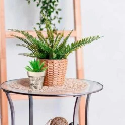 Cache Pot En Fibre De Bambou - Fleurs De Ginkgo - 8.5 Cm