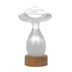 Baromètre à Cristaux Sur Socle De Bois En Forme De Champignon