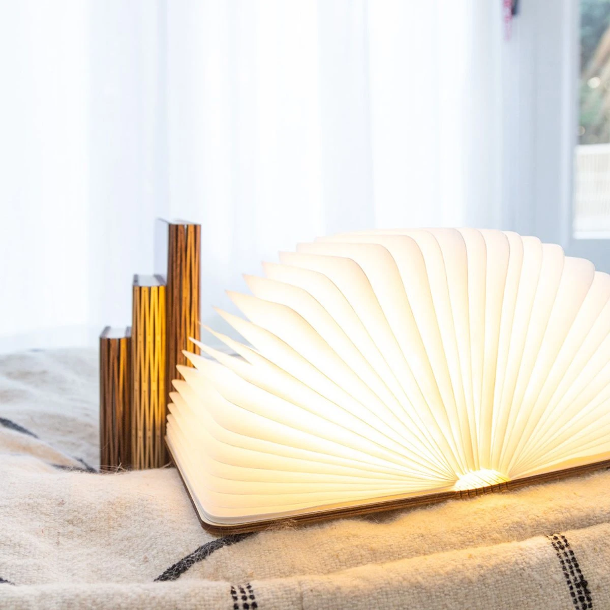 Lampe Livre En Bois D'érable - Taille S - Couleur Erable – Image 2